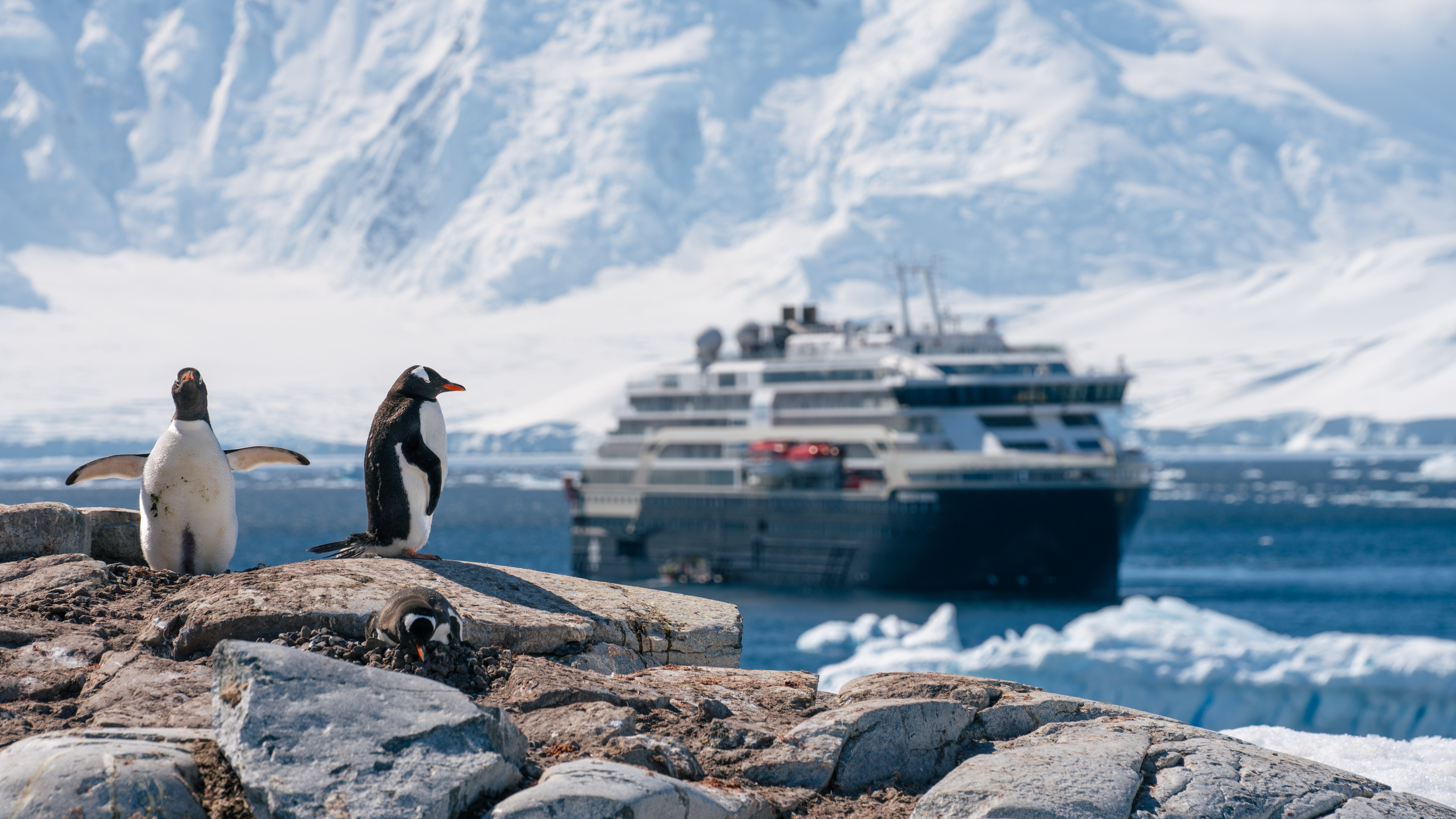 Expedition ship in Antarctica