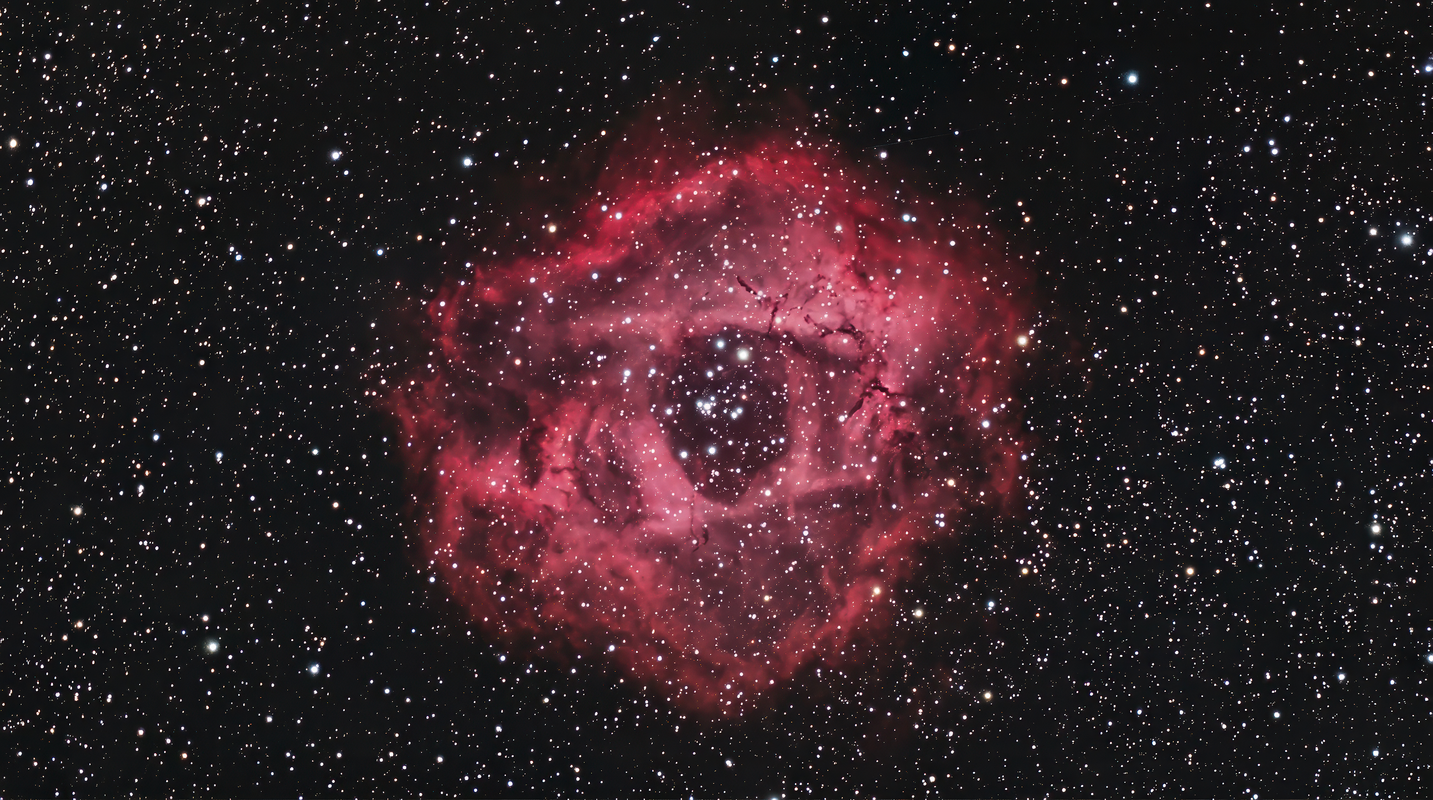 Rose Nebula