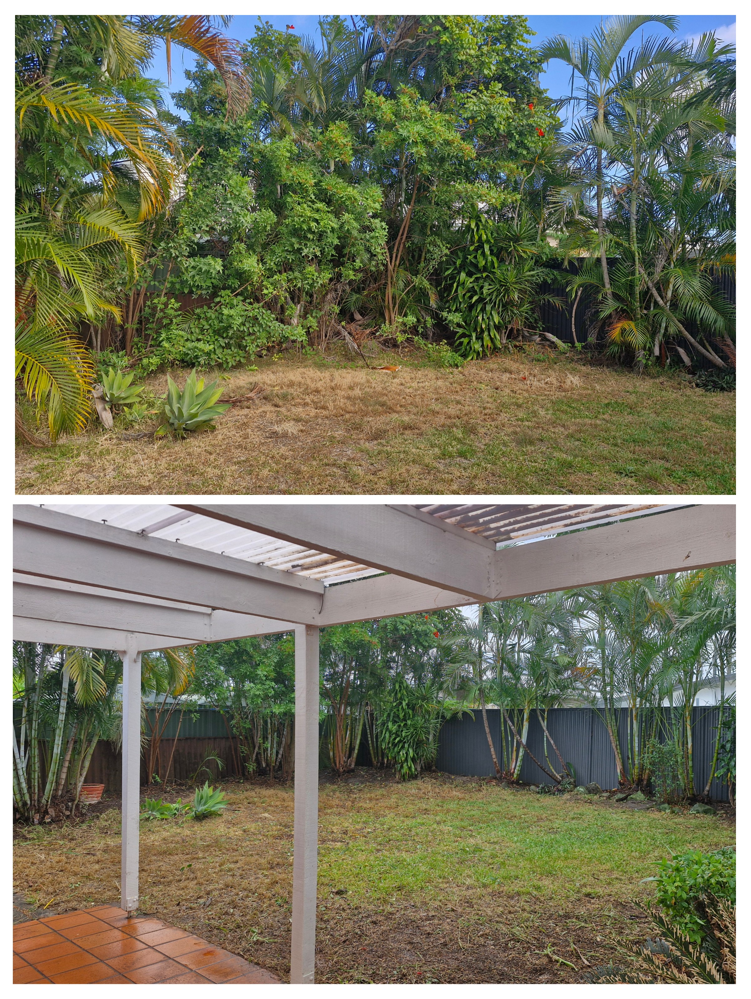 Before and after collage of a backyard garden tidy-up
