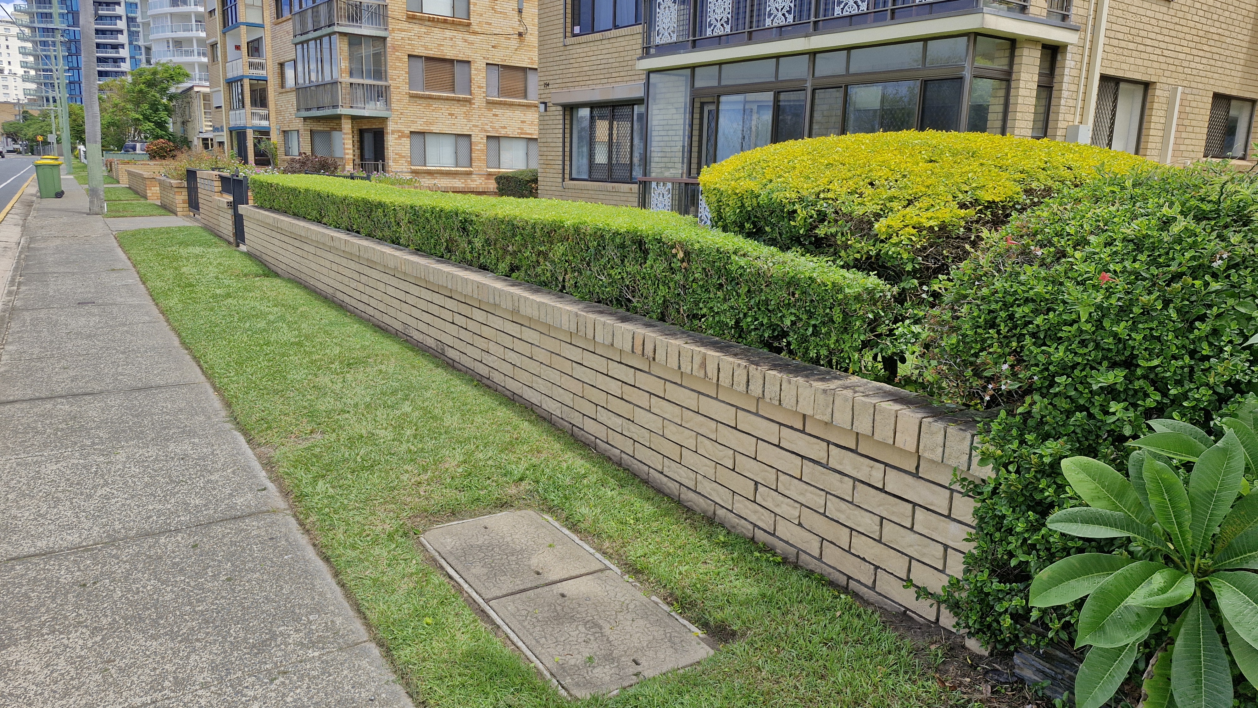 Streetfront hedge and lawn at apartment complex