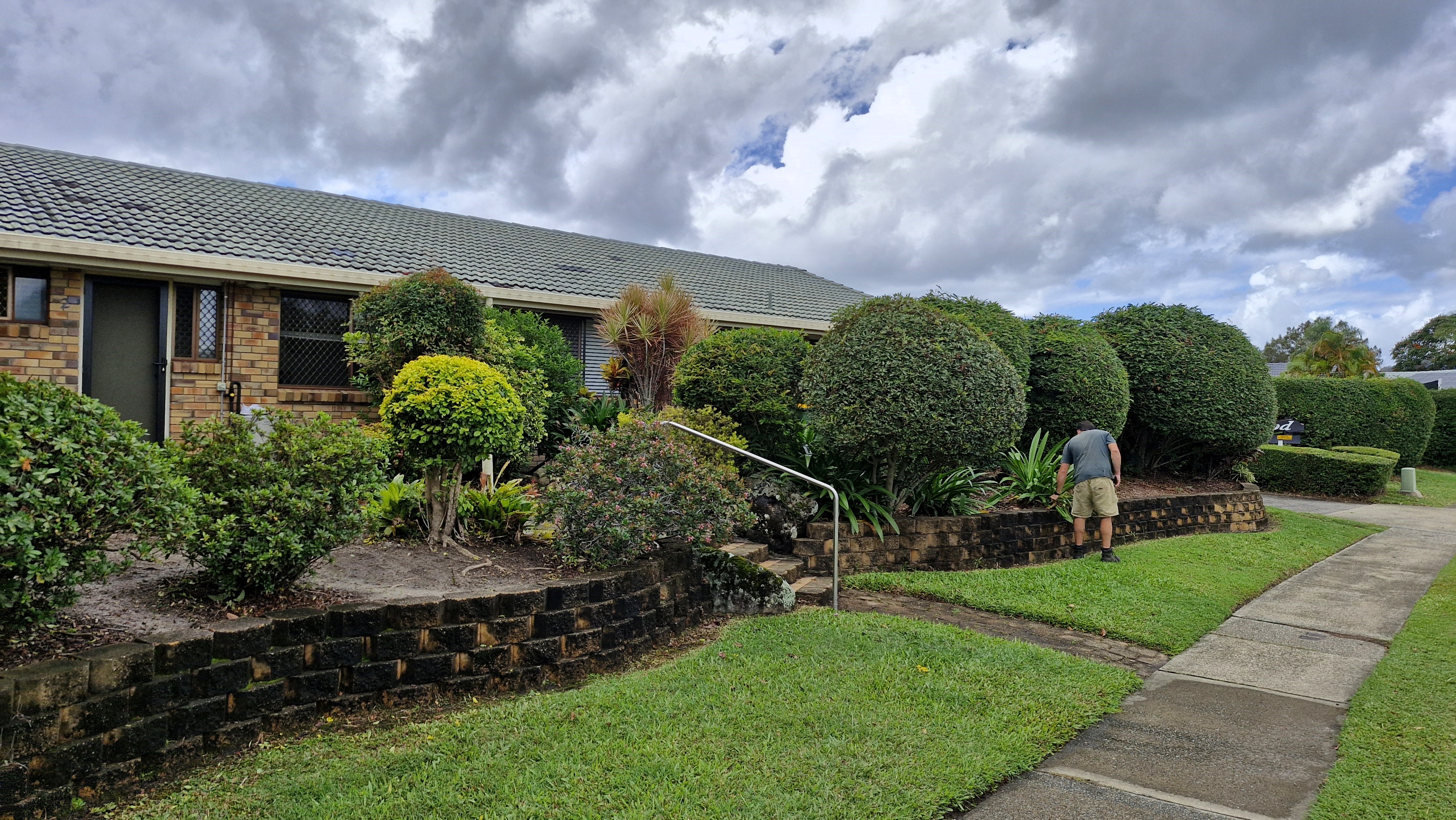InCa team shaping hedges into neat round balls at a residential property
