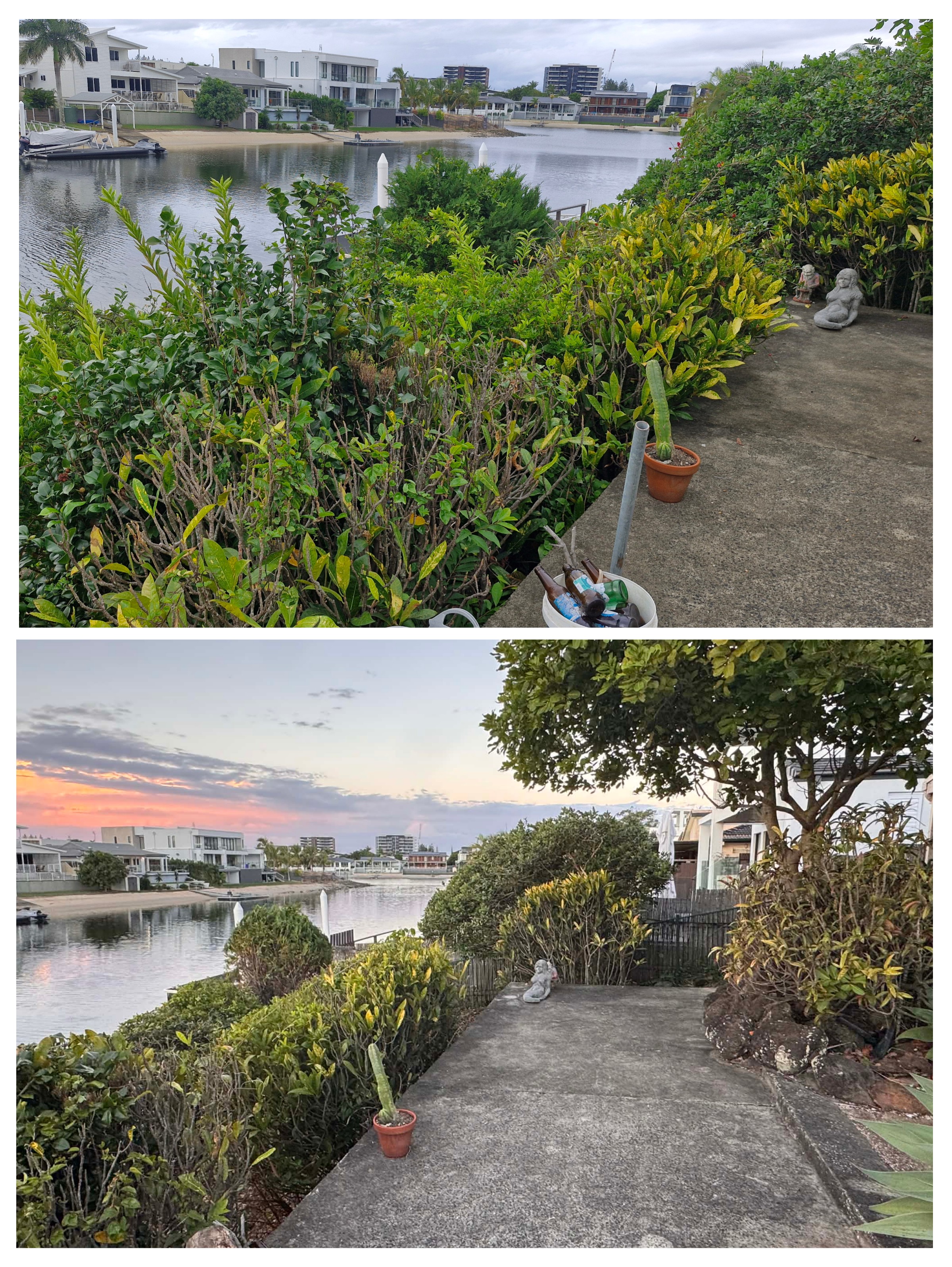 Before and after collage of waterfront hedge shaping