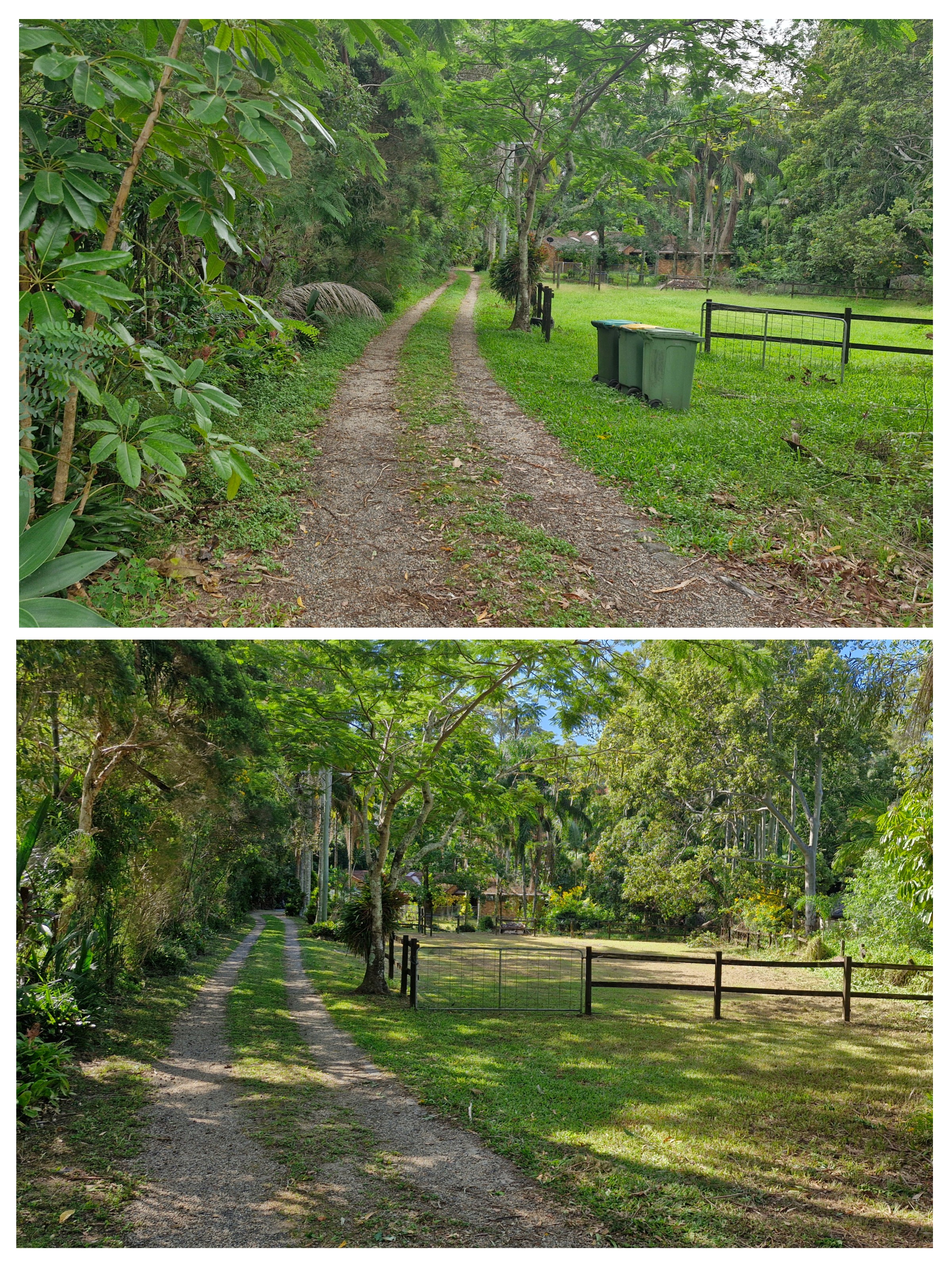 Before and after collage of a property entrance clear-out