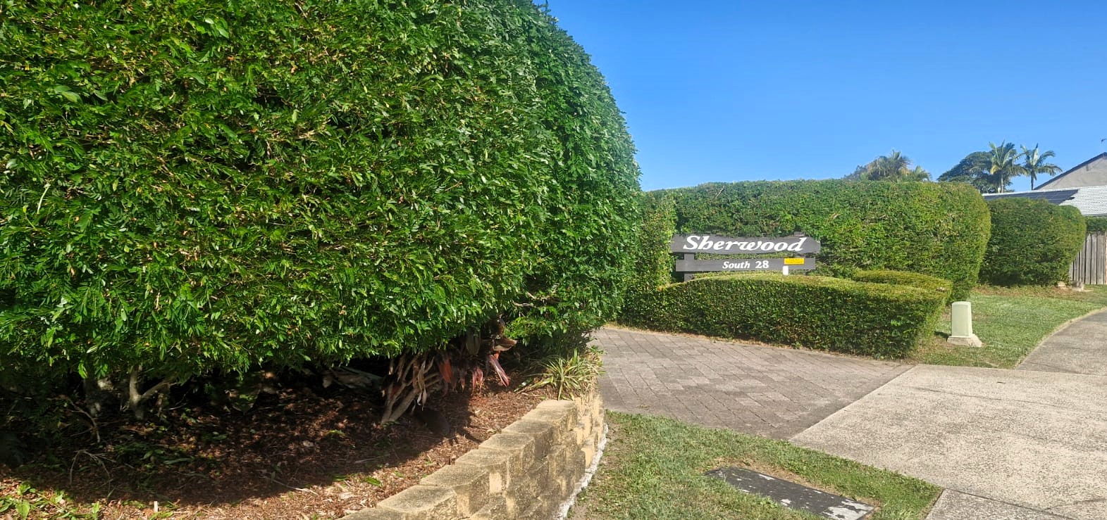 Entrance hedge at Sherwood South
