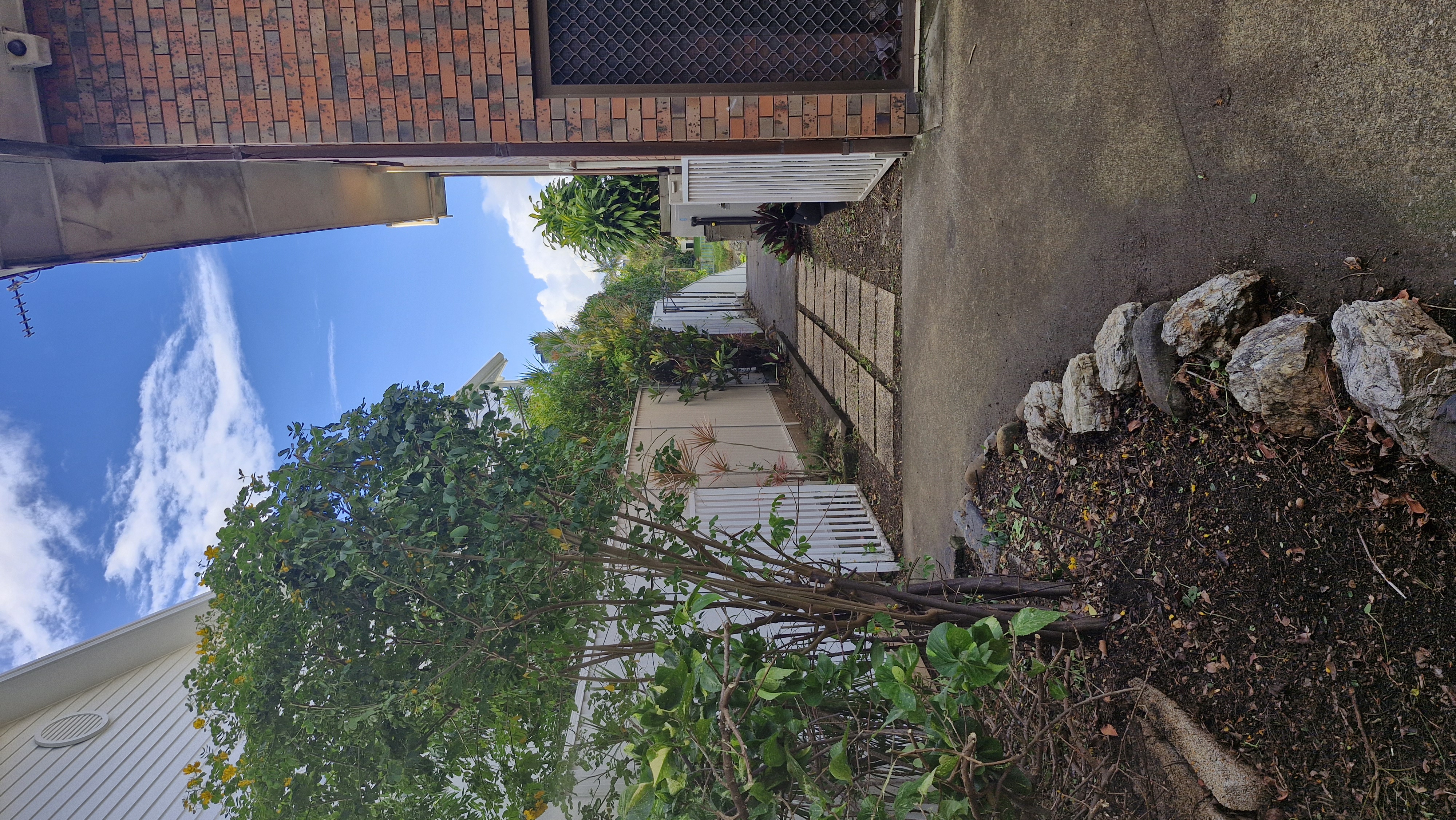 Side pathway and garden bed at residential property