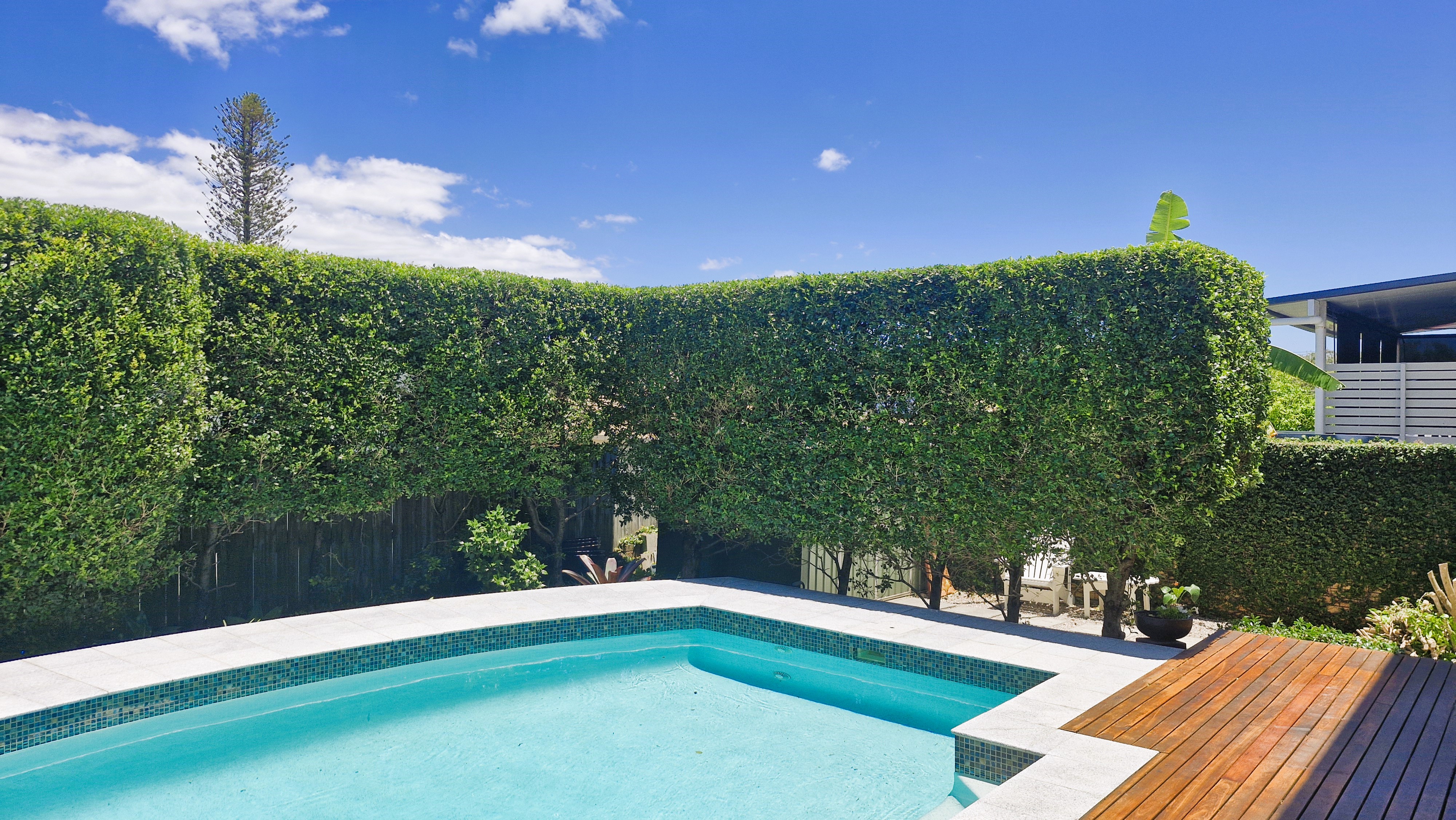 Poolside hedge trim at private residence angle 3