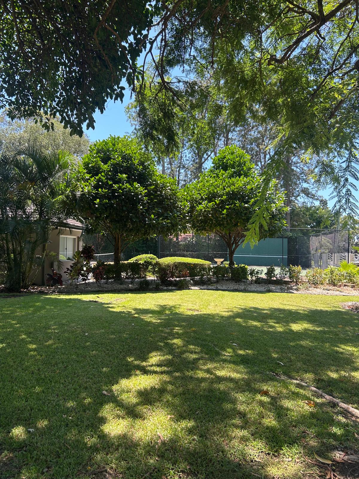 Expansive manicured lawn with mature trees, sculpted shrubs, and garden beds at a large estate property