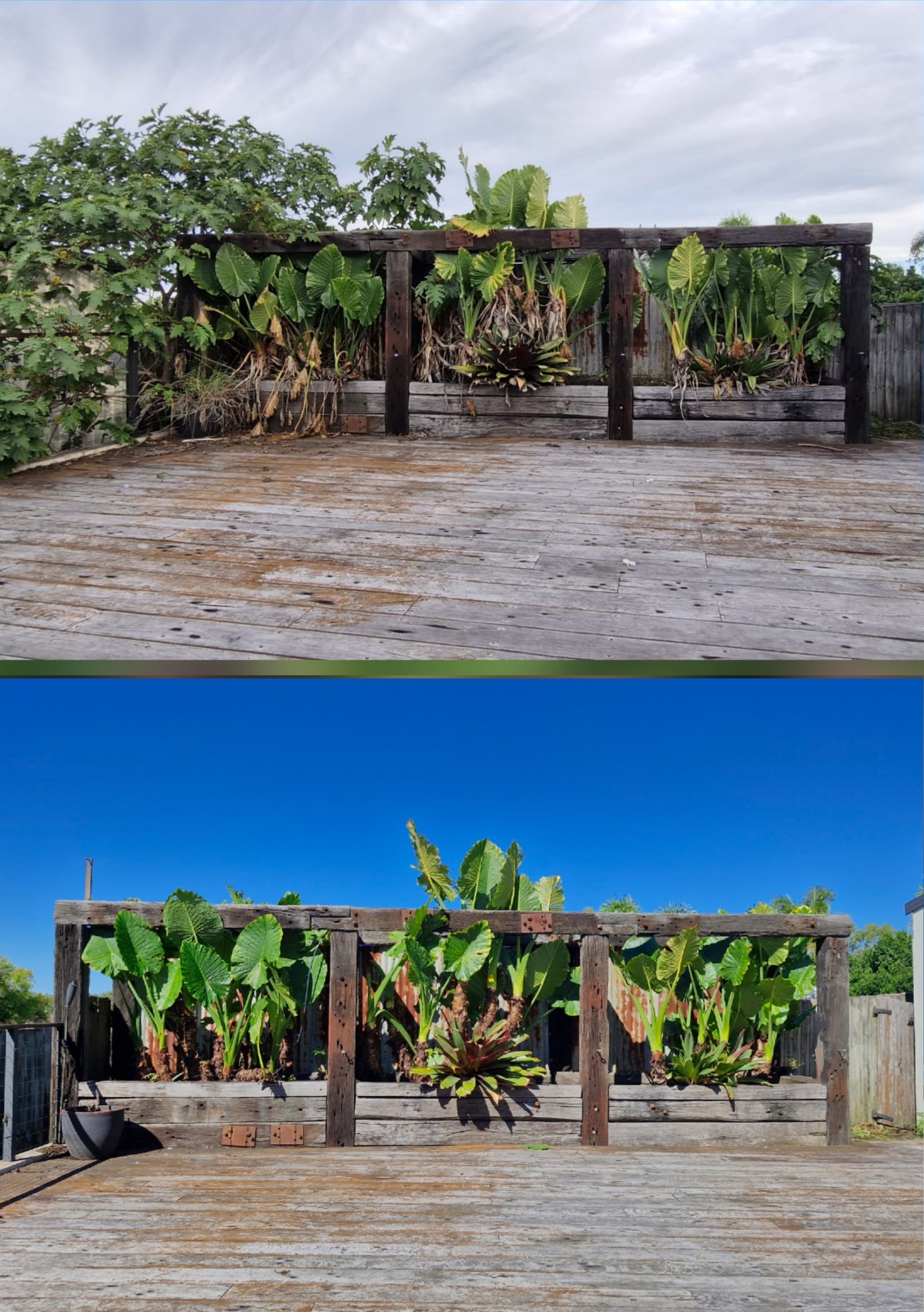 Before and after of deck garden clean-up