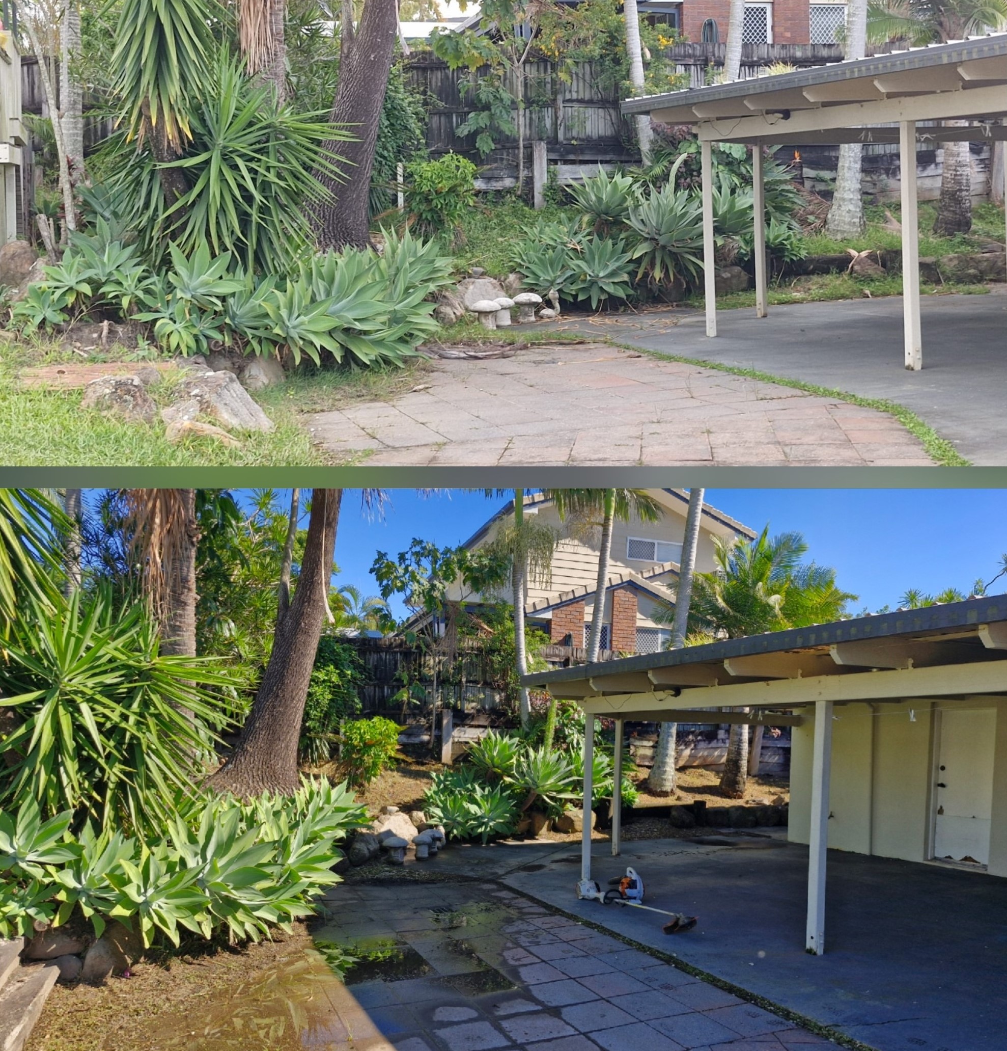 Before and after of back garden bed tidy
