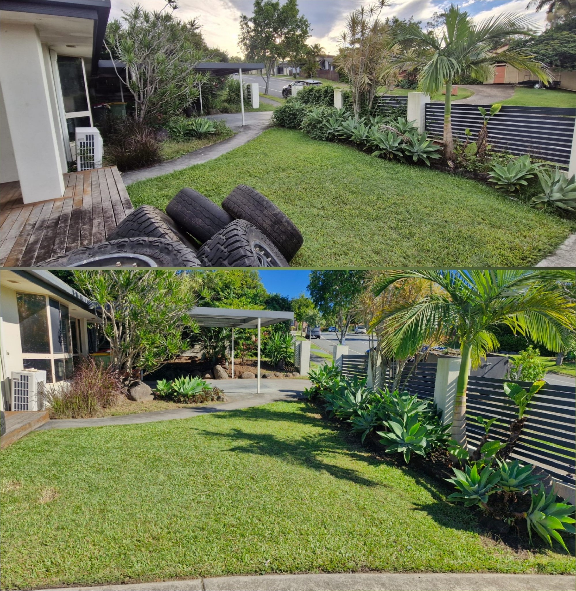 Before and after of front lawn clean-up