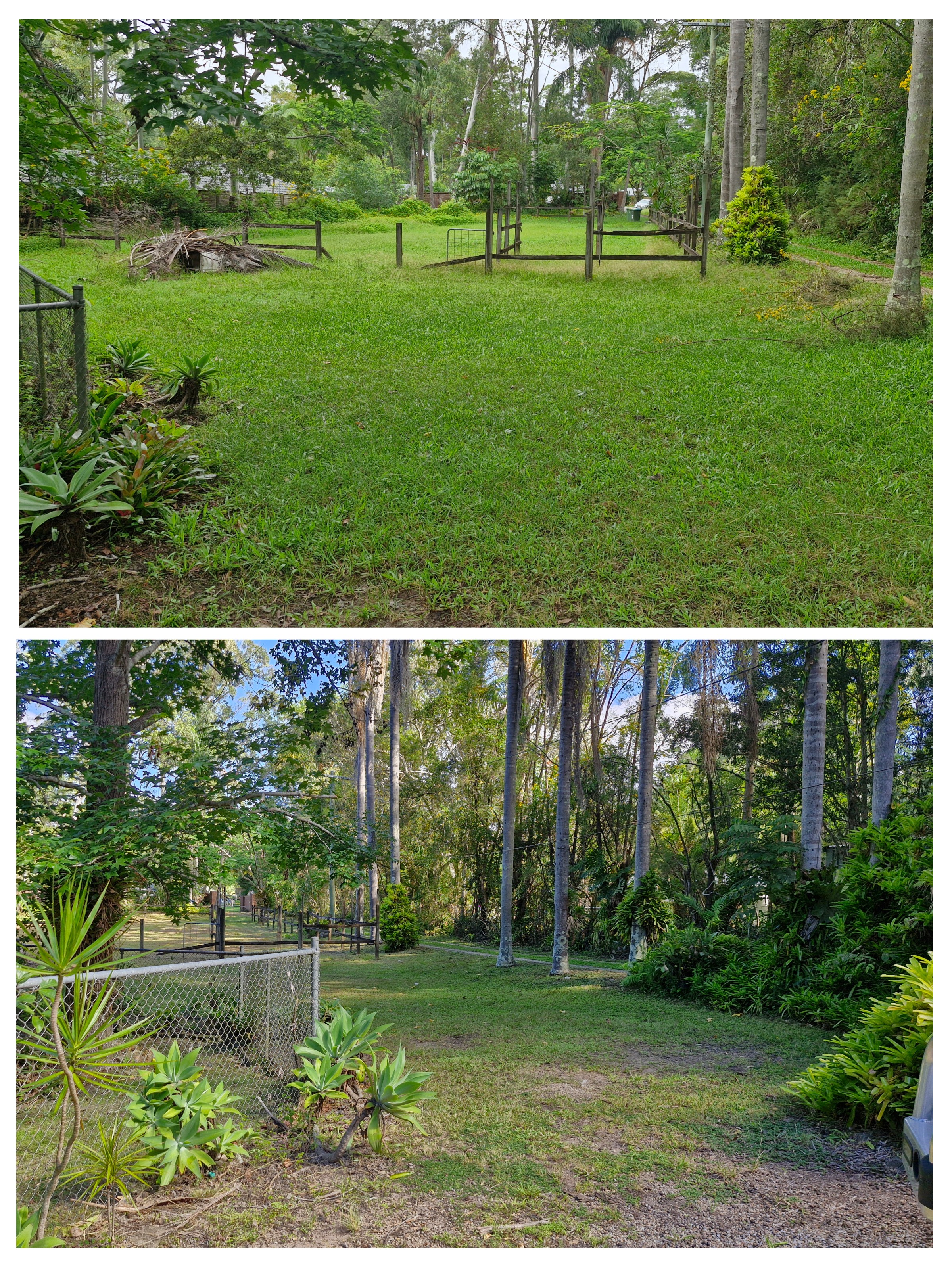 Before and after collage of a large lawn mowing job