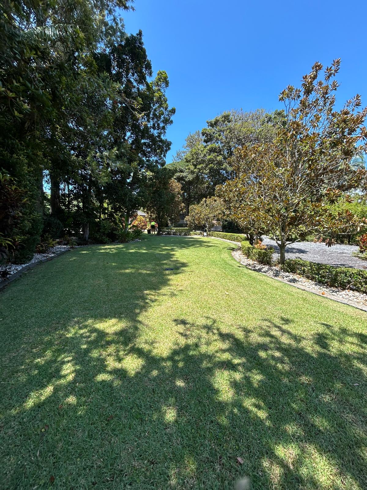 Wide pristine lawn with white stone edging, magnolia trees, and the InCa team working in the background at a luxury estate