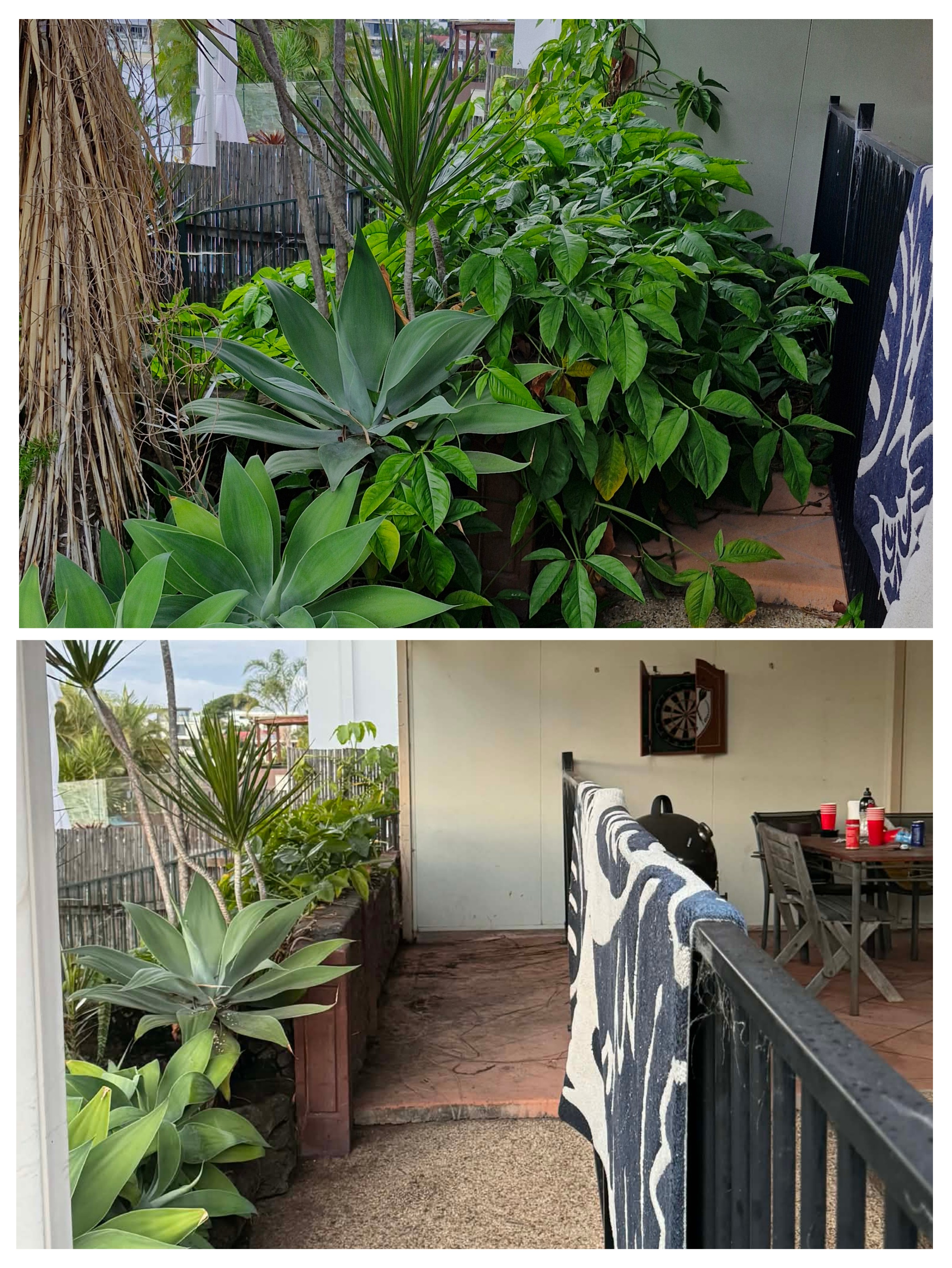 Before and after collage of a balcony garden cut-back