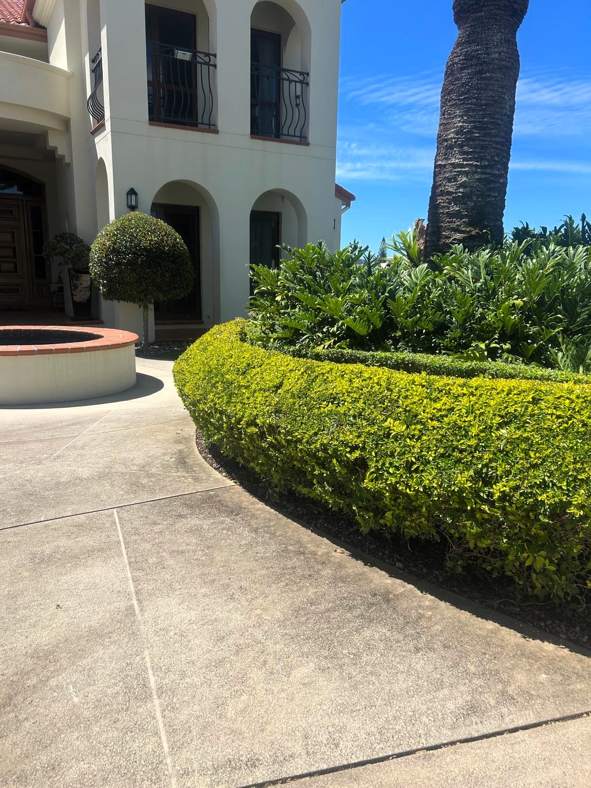 Curved hedge border with topiary ball, tropical plants, and palm tree at a Mediterranean-style luxury residence