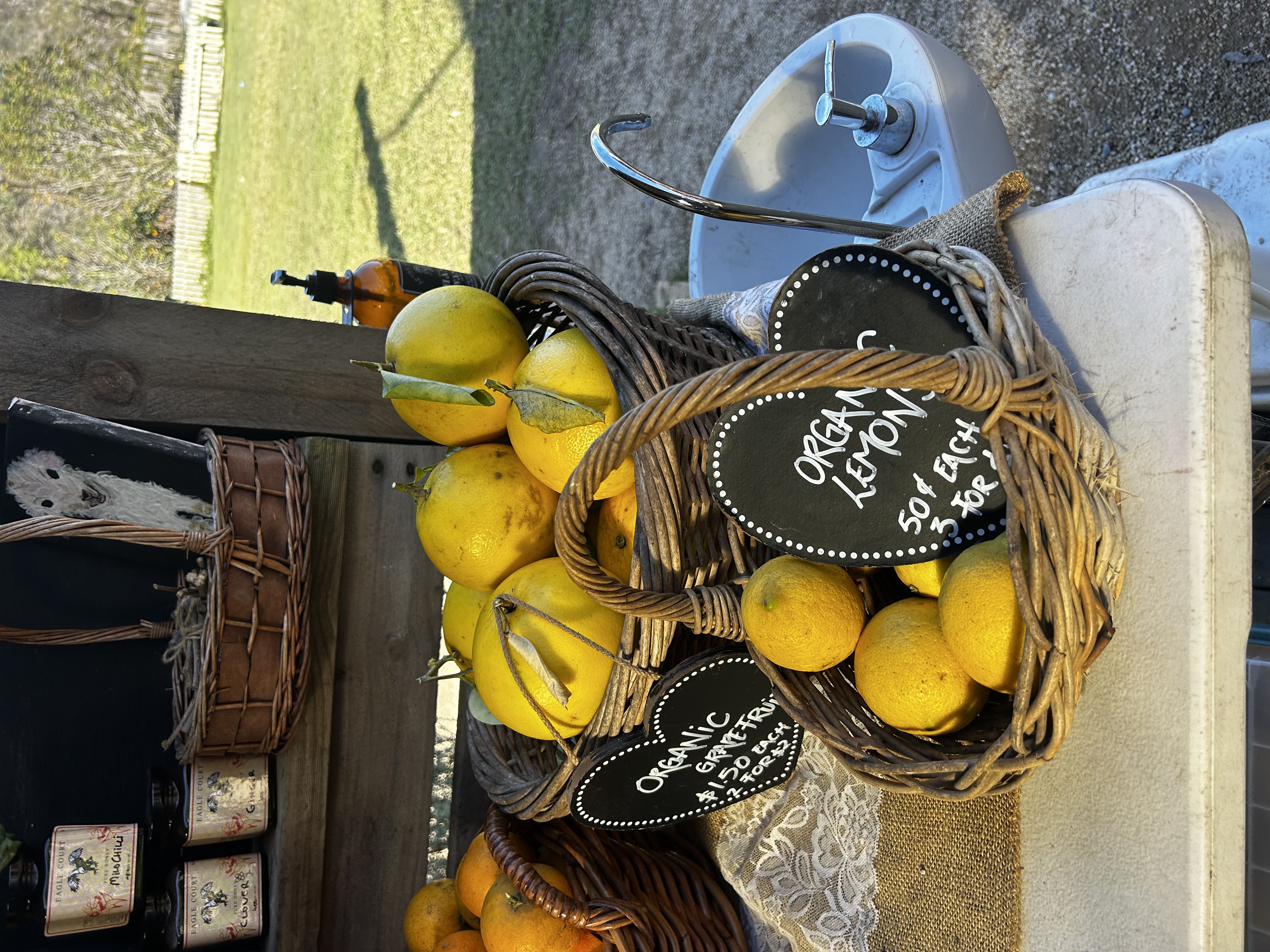 Fresh Seasonal Fruit