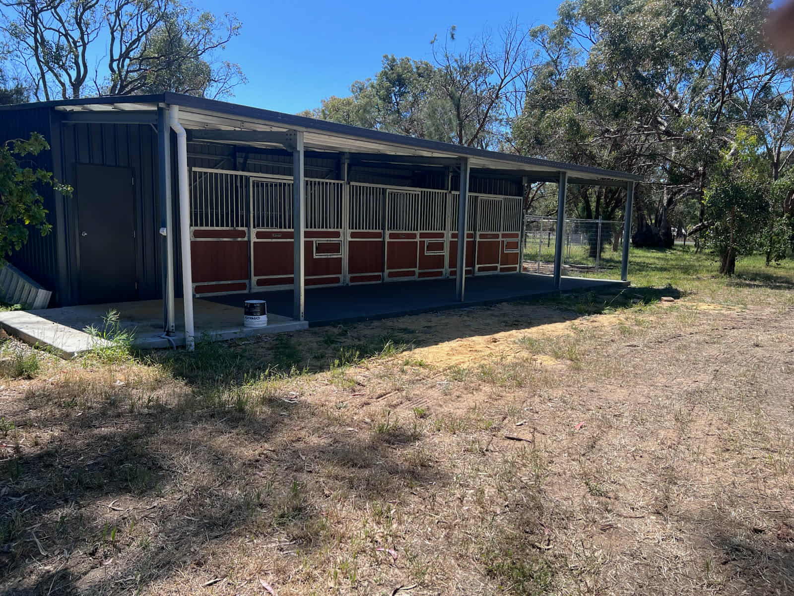 Steel horse stable shed with lean-to verandah and row of stalls