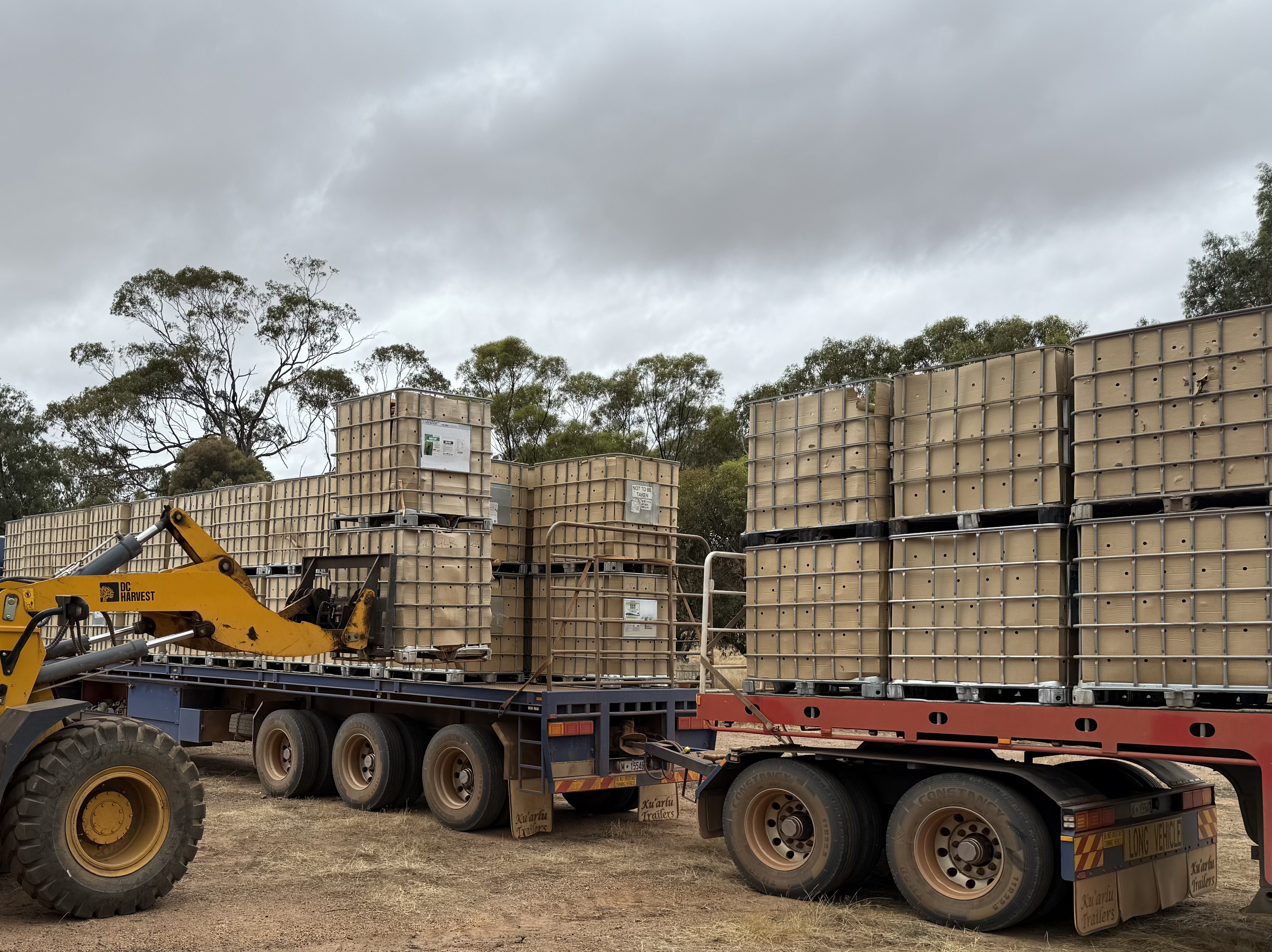 Loader stacking IBCs on truck for transport