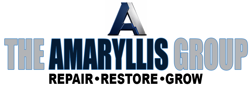 The Amaryllis Group — Repair · Restore · Grow