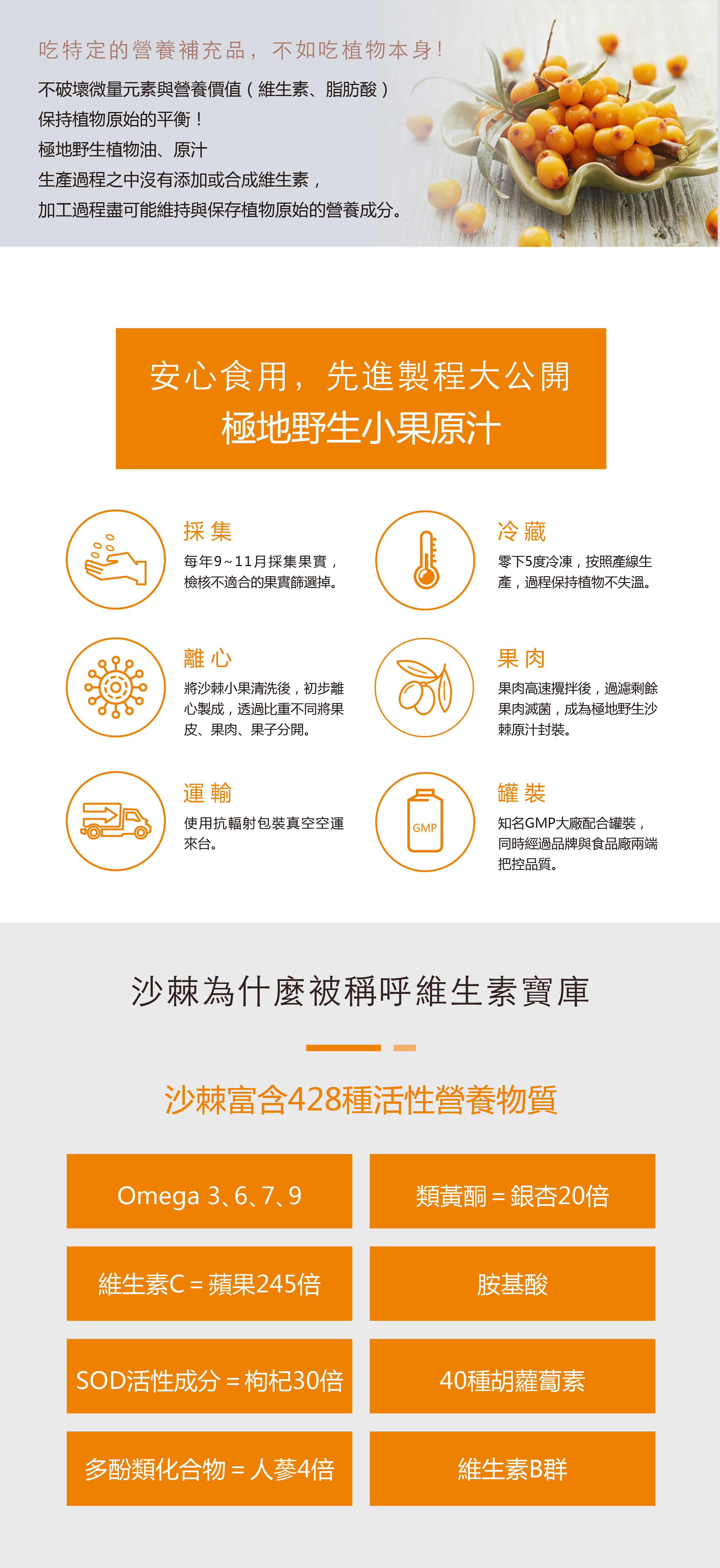 沙棘果汁製程說明