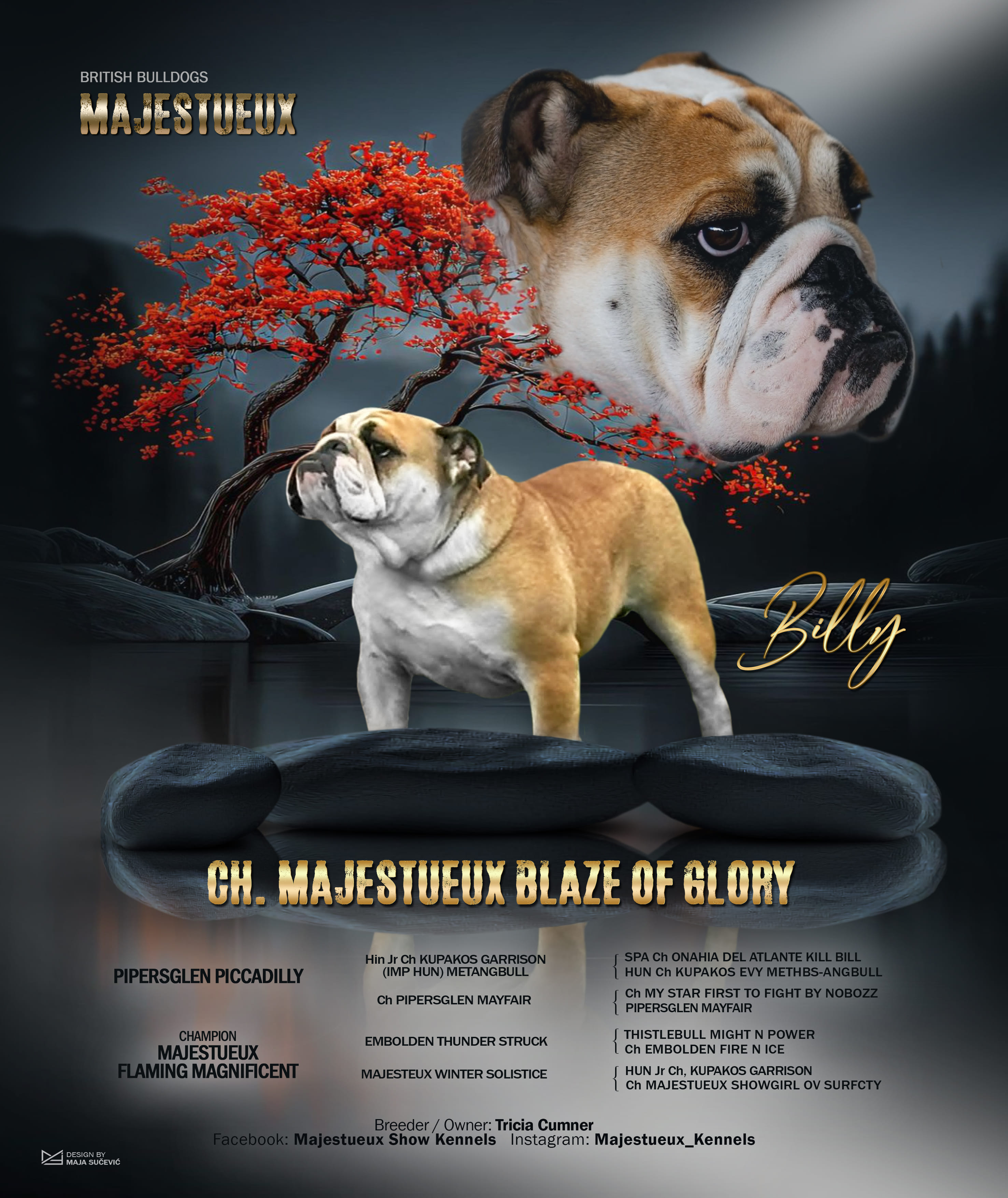 CH. Majestueux Blaze of Glory