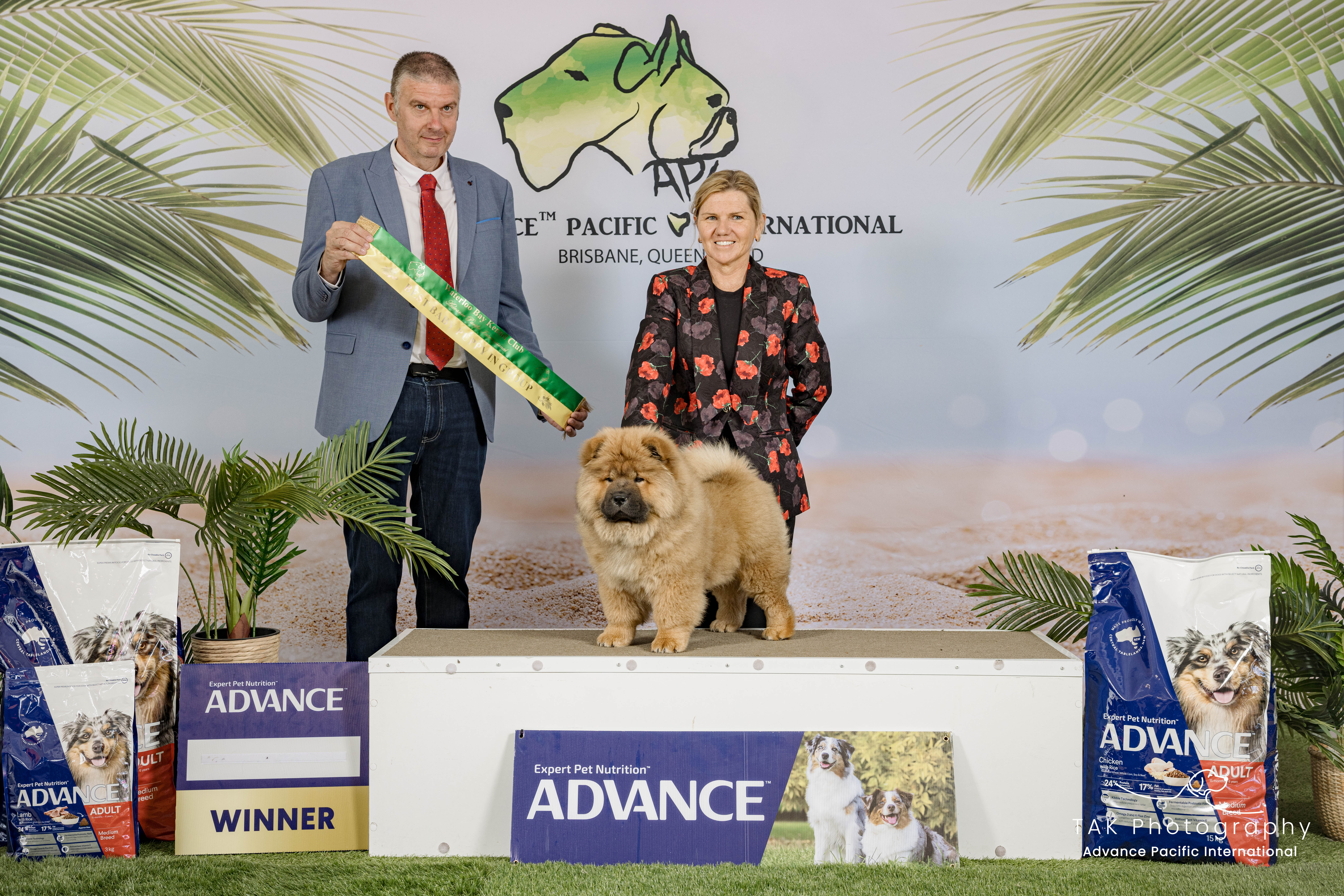 Zara - Winner at Advance Pacific International Brisbane