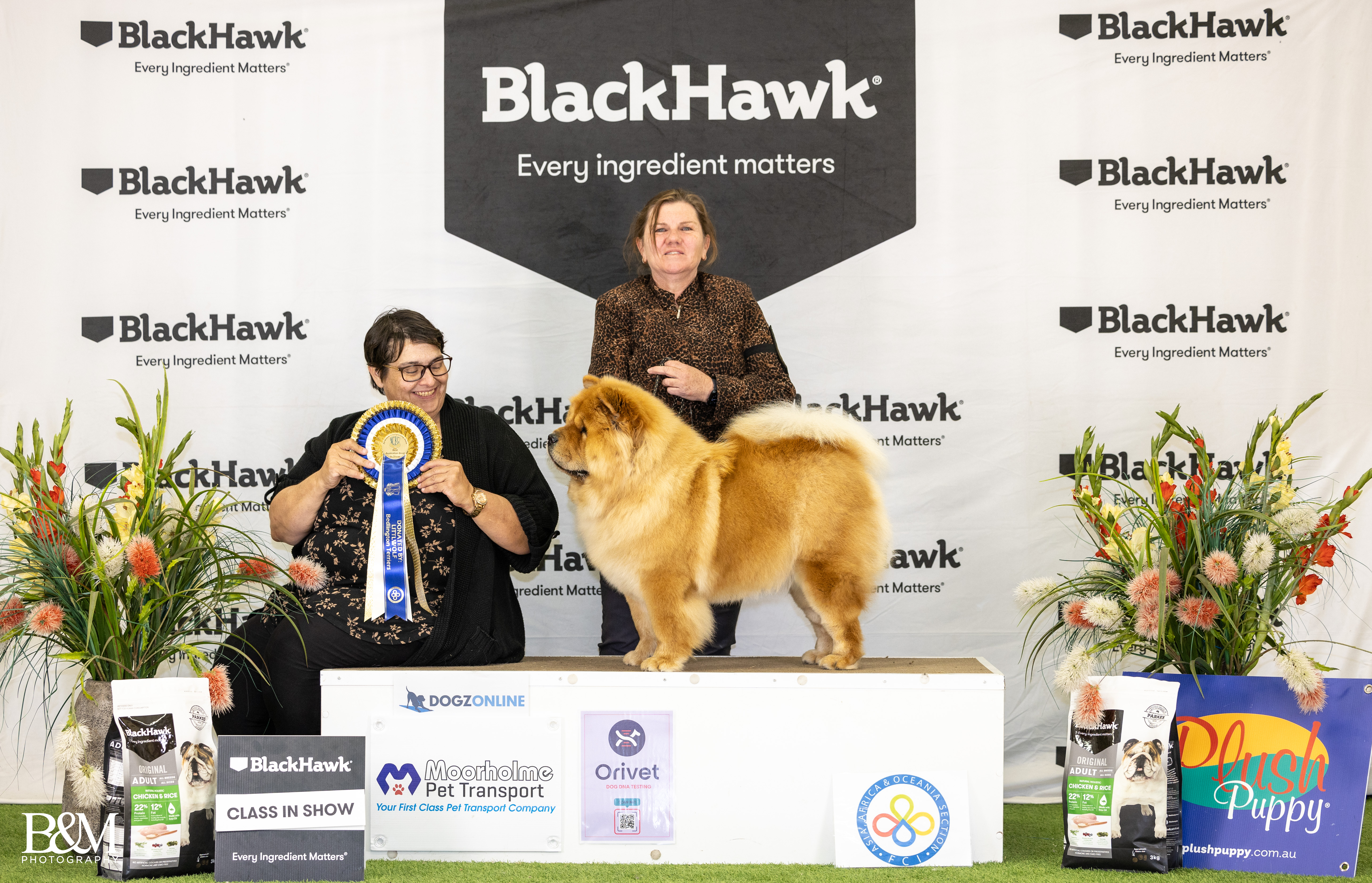 Mia - A2O CH C.I.B. CH. Rynkls Majyc Is About - Class in Show win