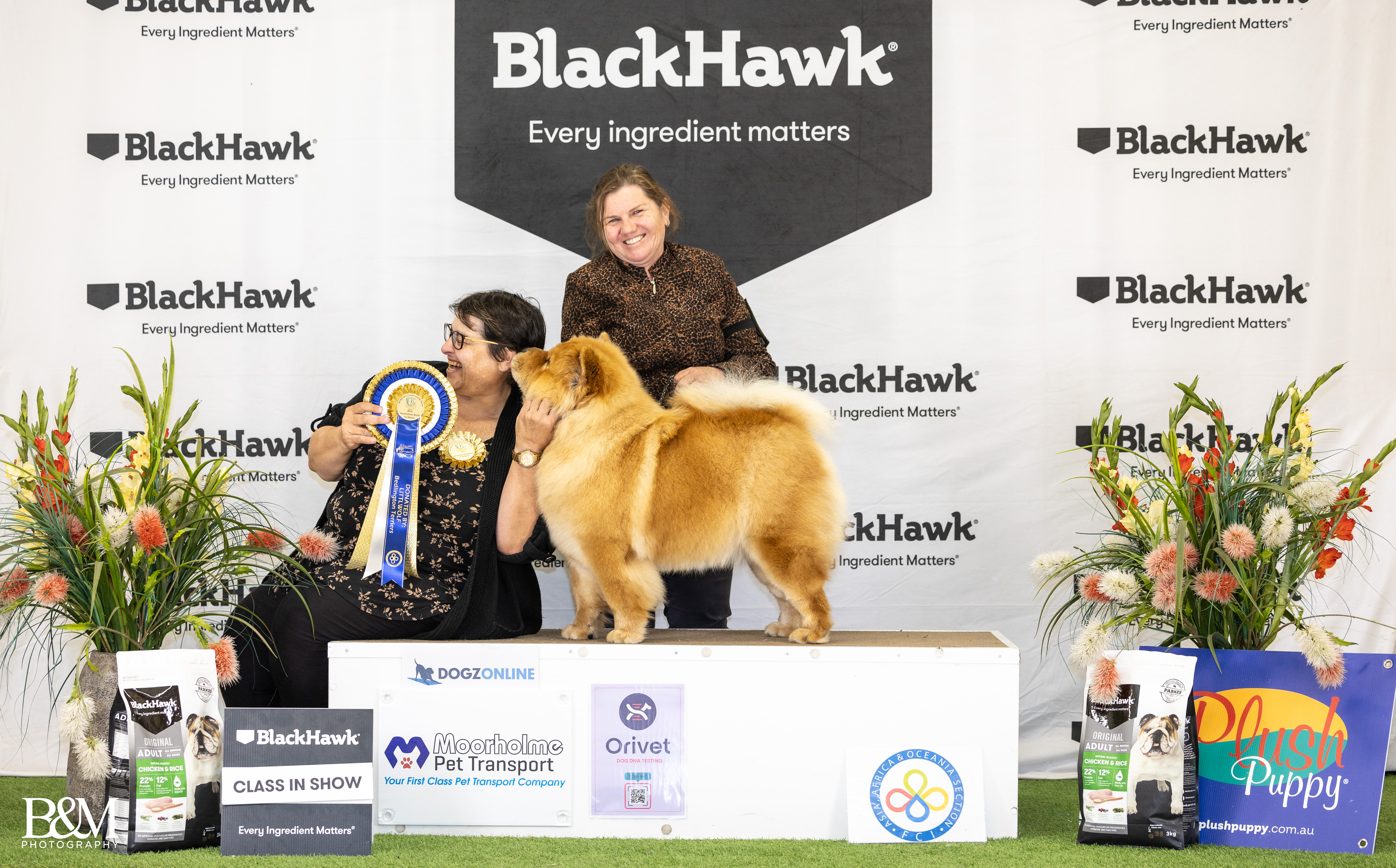 Mia - A2O CH C.I.B. CH. Rynkls Majyc Is About - Show win photo