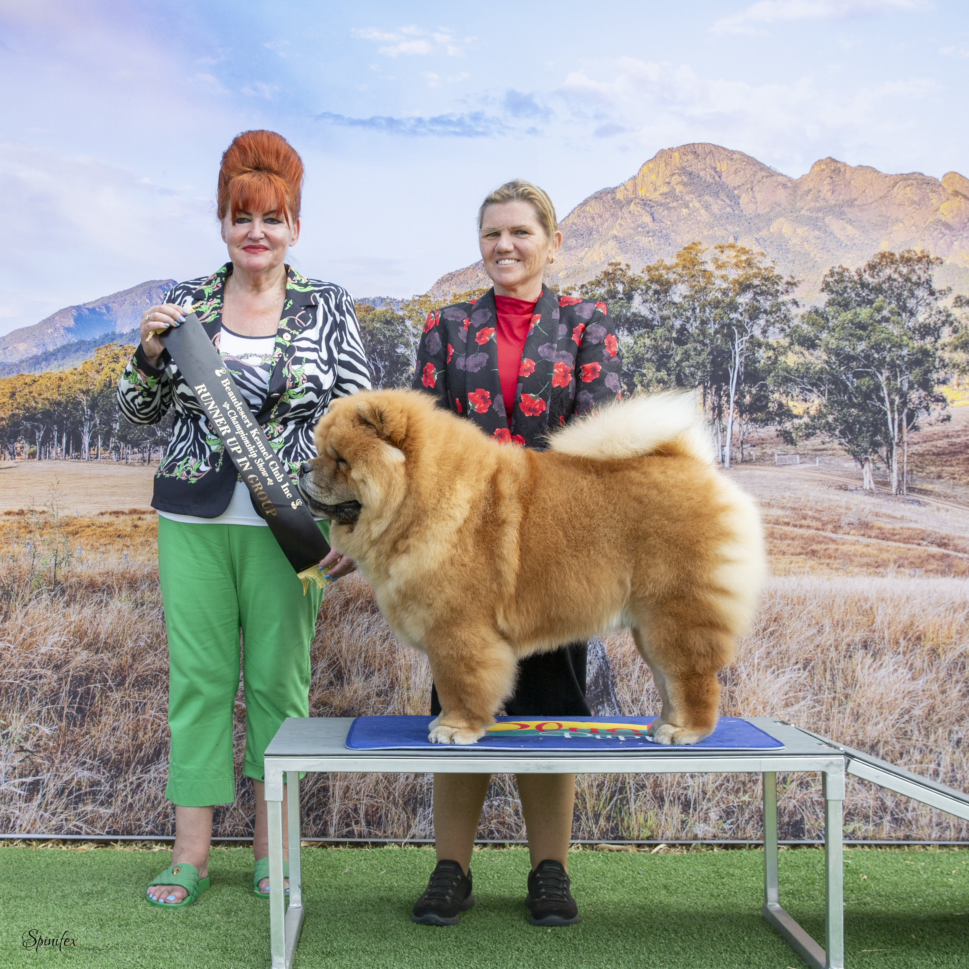 Big Mac - Runner Up in Group at Beaudesert Kennel Club