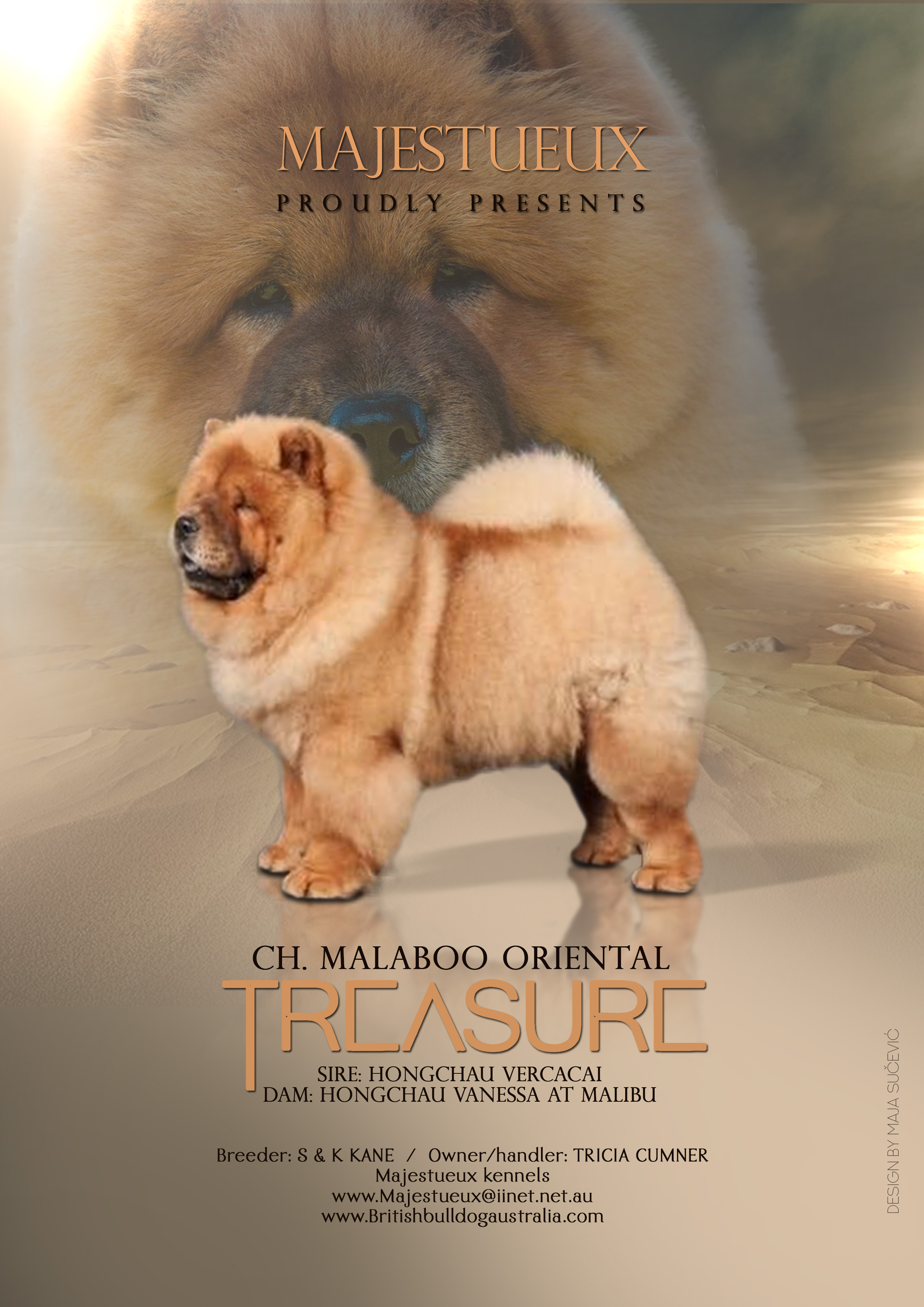 CH. Malaboo Oriental Treasure
