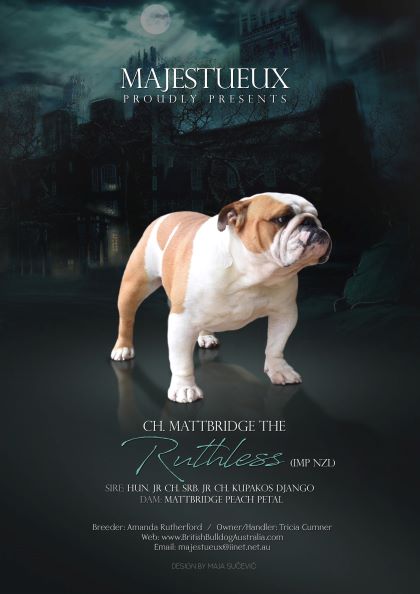 CH. MATTBRIDGE THE RUTHLESS (IMP NZL)