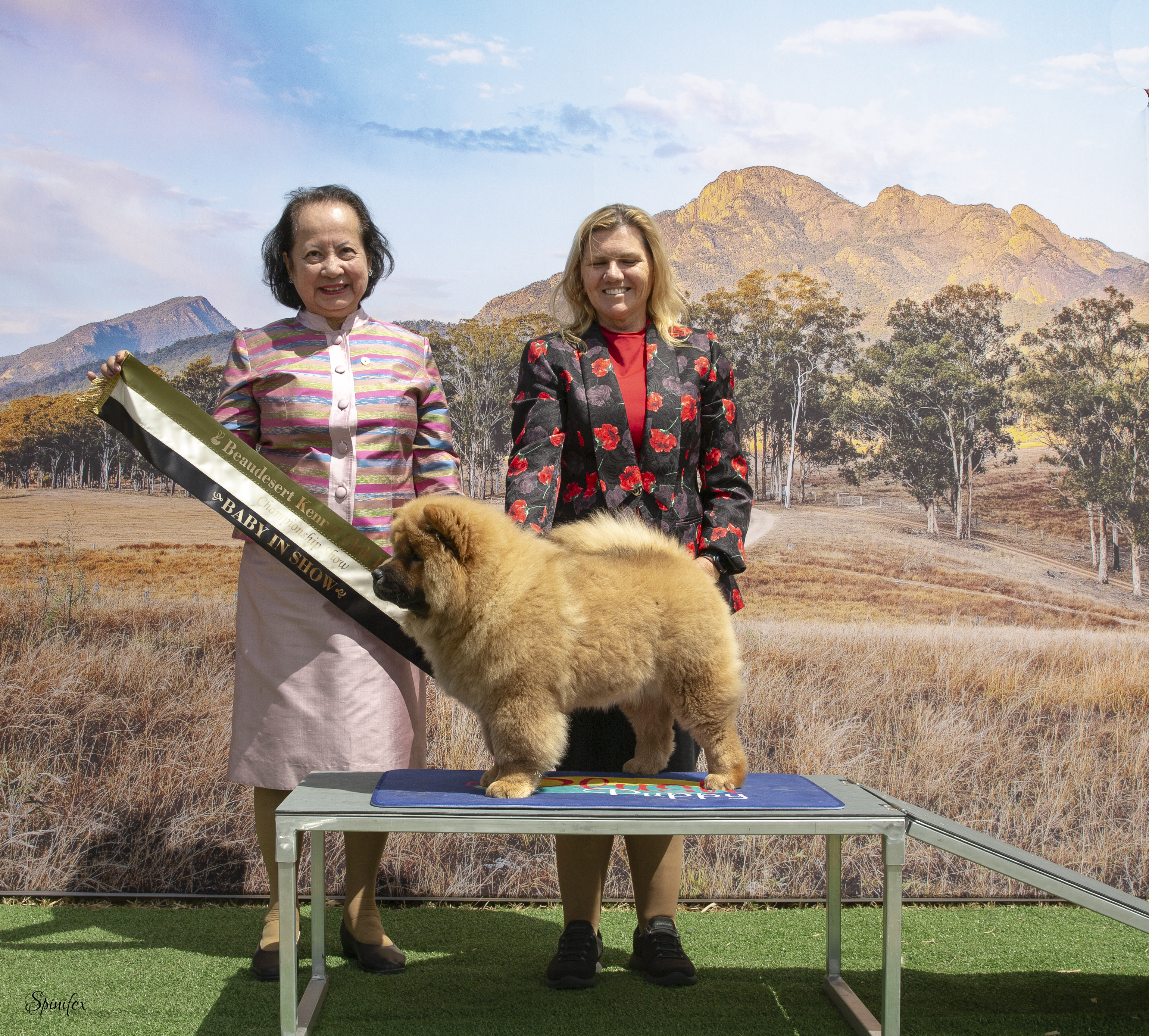 Zara - Baby in Show win at Beaudesert Kennel Club
