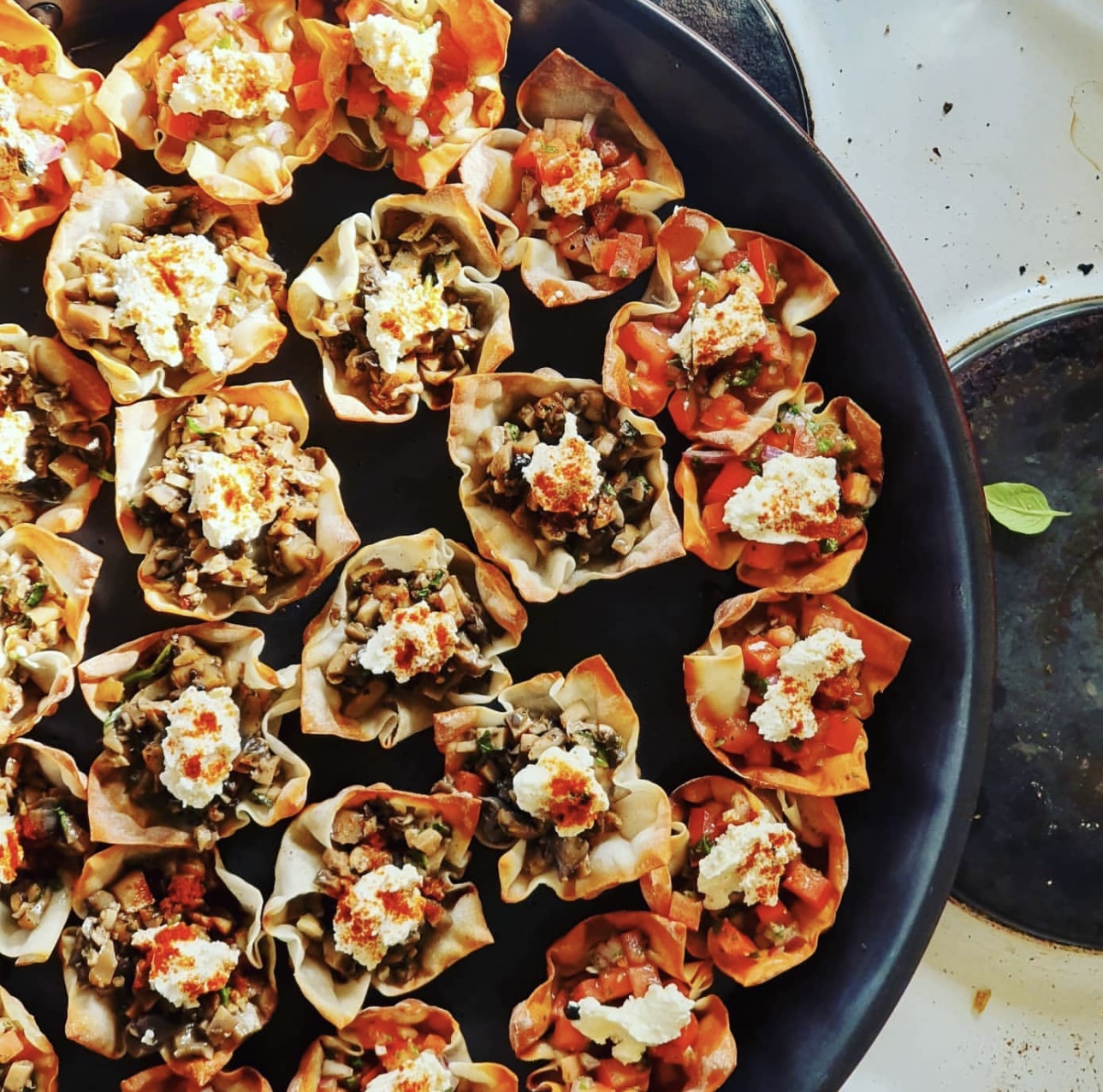 Wonton cups with bruschetta and mushroom fillings